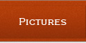 Pictures